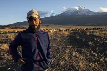 Karlı Ağrı Dağı önünde koyun sürüsünü otlatan çoban ve geniş kayalık arazinin doğal manzarası.