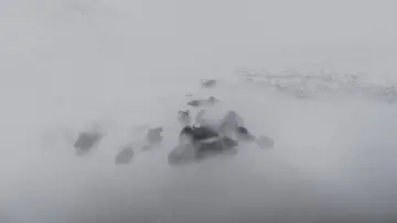 Bitlis Güroymak Budaklı Kaplıcası, buhar içindeki mandalar ve sıcak termal su