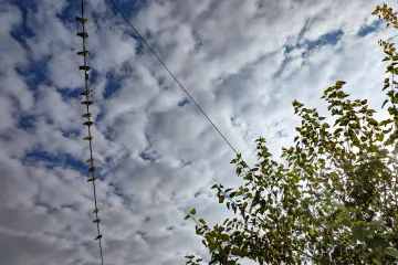 Bulutlu gökyüzü, elektrik teline dizilmiş kuşlar ve yeşil ağaç dallarını gösteren doğa fotoğrafı.