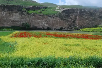 Sarı ve kırmızı kır çiçekleriyle kaplı yeşil ova, kayalık yamaçlar ve doğal su manzarası.