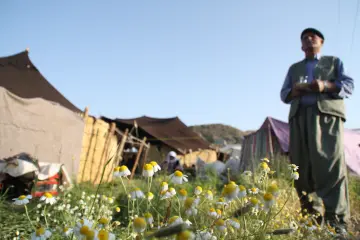 Botan bölgesinde asırlarcayaylalara  göç eden göçerler, ‘Laleş’ adını verdikleri yaylada Kuzu Kırpma (Berxbir) şenlikleri düzenleniyor. 7 gün, 7 gece folklorik öğelerinin olduğu bayram havasında geçen kutlamalarda kuzu kırpma yarışması, yanı sıra yöresel oyunlar düzenleniyor.