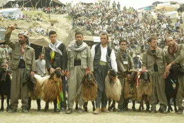 Botan bölgesinde asırlarcayaylalara  göç eden göçerler, ‘Laleş’ adını verdikleri yaylada Kuzu Kırpma (Berxbir) şenlikleri düzenleniyor. 7 gün, 7 gece folklorik öğelerinin olduğu bayram havasında geçen kutlamalarda kuzu kırpma yarışması, yanı sıra yöresel oyunlar düzenleniyor.