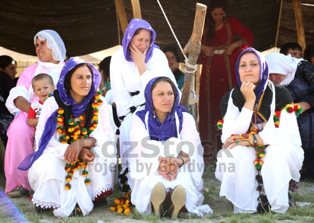 Botan bölgesinde asırlarcayaylalara  göç eden göçerler, ‘Laleş’ adını verdikleri yaylada Kuzu Kırpma (Berxbir) şenlikleri düzenleniyor. 7 gün, 7 gece folklorik öğelerinin olduğu bayram havasında geçen kutlamalarda kuzu kırpma yarışması, yanı sıra yöresel oyunlar düzenleniyor.
