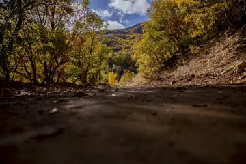 Dersim Pülümür Vadisi sonbahar ormanları ve dağ manzarası