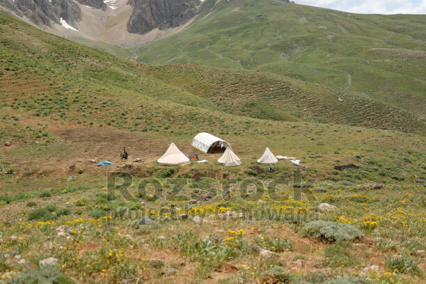 Dersim yaylalarında dağların eteklerindeki geleneksel çadırlar ve kır çiçekleri doğal yayla yaşamını yansıtıyor.