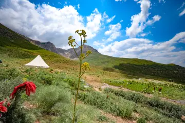 Dersim yaylalarında geleneksel çadır, yeşil dağlar ve doğal bitki örtüsü eşliğinde yayla yaşamını yansıtıyor.