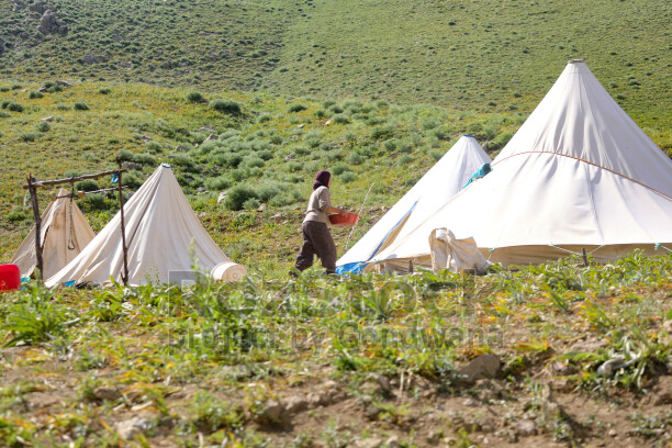 Dersim yaylalarında geleneksel çadırlar ve günlük yaşam, dağların doğal güzelliğiyle birlikte görülüyor.