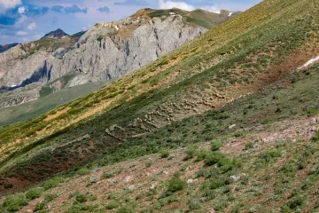 Dersim yaylalarında koyun sürüsü, sarp dağlar ve yeşil yamaçlar eşliğinde geleneksel yaylacılık yaşamını yansıtıyor.