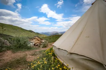 Dersim yaylasında çadır, yeşil dağlar ve sarı çiçekler eşliğinde doğal yayla manzarası görülüyor.