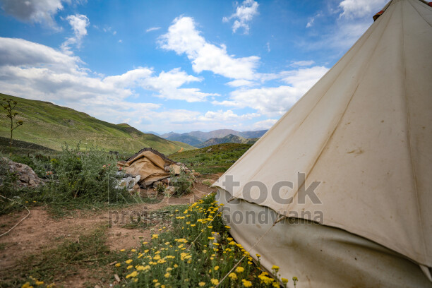 Dersim yaylasında çadır, yeşil dağlar ve sarı çiçekler eşliğinde doğal yayla manzarası görülüyor.