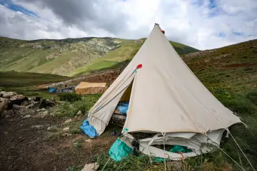 Dersim yaylasında geleneksel çadır, koyun sürüsü ve dağ manzarası yaylacılık yaşamını yansıtıyor.