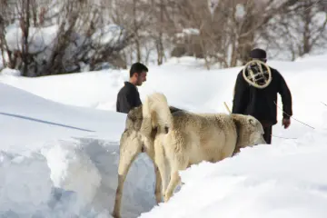 Munzur Dağları eteklerinde bulunan kırsal köylerde yaşayan köylüler, karda yürümelerini kolaylaştıran kar ayakkabısı olan hedik, günümüzde de kullanılıyor. Ovacık köylerinde yaşayan yurttaşlar, Munzur Nehri kıyısında yetişen  ağaçlardan hedik, diğer adıyla lekan ayakkabısını yapıyor.