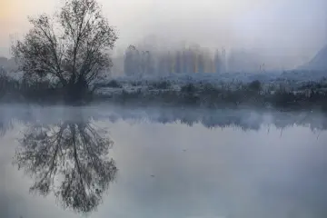 Diyarbakır'da sisle kaplanan Dicle Nehri kıyısı, ağaçların suya yansıması ve Hevsel Bahçeleri'nin doğal manzarası