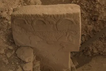 Göbeklitepe'de bulunan hayvan kabartmalı taş dikmenin yakın plan görünümü ve Neolitik Dönem taş oymacılığı.