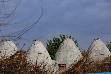 Harran Kümbet Evleri ve kubbelerin üzerinde duran güvercinlerle geleneksel mimarinin özgün görünümü.