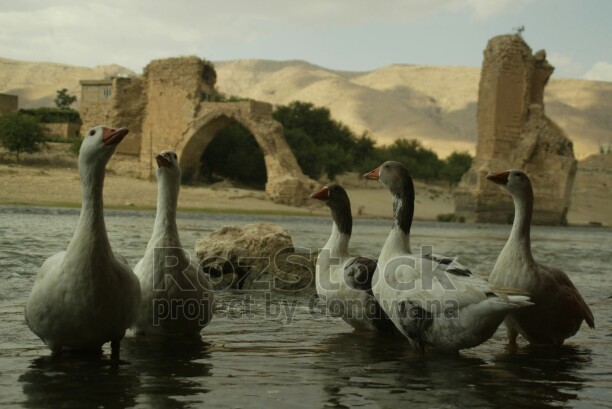Yukarı Mezopotamya'da Dicle Nehri kıyısında kurulan 12 bin yıllık tarihi Hasankeyf, bir çok uygarlığa başkentlik yapmış olsa da elektrik üretimi gerekçe gösterilerek yapılan Ilısı Barajı sularına gömüldü. İnsanlık tarihinin başlangıç yerlerinden bir tanesi olan Hasankeyf şuan artık olmayacak.