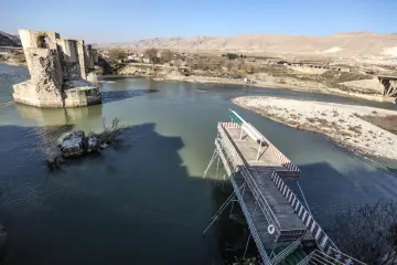 Hasankeyf'te eski bir yapının yıpranmış penceresinden dışarı bakan genç bir buzağı. Tuğla duvar, ahşap pencere ve hayvanın meraklı bakışı, tarihi çevre ile kırsal yaşamın iç içe geçtiği doğal bir sahne oluşturuyor.