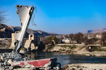 Hasankeyf'te eski bir yapının yıpranmış penceresinden dışarı bakan genç bir buzağı. Tuğla duvar, ahşap pencere ve hayvanın meraklı bakışı, tarihi çevre ile kırsal yaşamın iç içe geçtiği doğal bir sahne oluşturuyor.