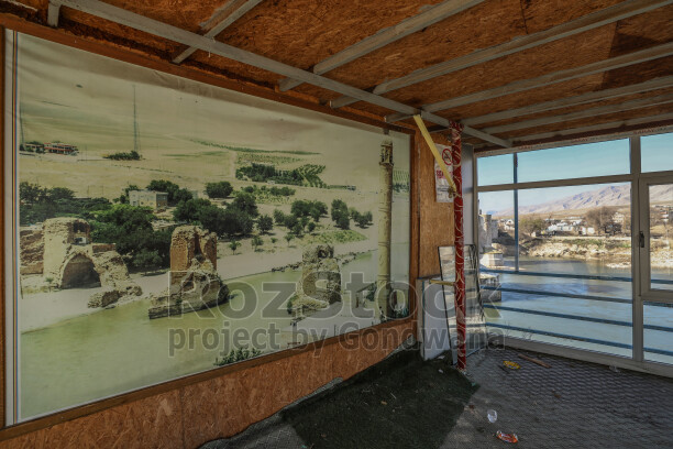 Hasankeyf'te eski bir yapının yıpranmış penceresinden dışarı bakan genç bir buzağı. Tuğla duvar, ahşap pencere ve hayvanın meraklı bakışı, tarihi çevre ile kırsal yaşamın iç içe geçtiği doğal bir sahne oluşturuyor.