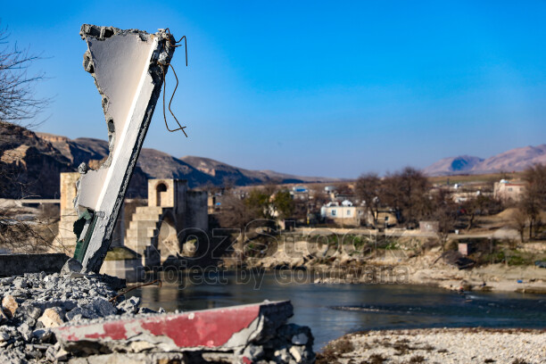 Hasankeyf'te eski bir yapının yıpranmış penceresinden dışarı bakan genç bir buzağı. Tuğla duvar, ahşap pencere ve hayvanın meraklı bakışı, tarihi çevre ile kırsal yaşamın iç içe geçtiği doğal bir sahne oluşturuyor.