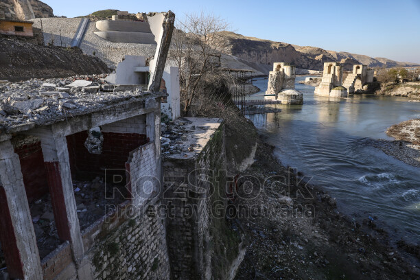 Hasankeyf'te eski bir yapının yıpranmış penceresinden dışarı bakan genç bir buzağı. Tuğla duvar, ahşap pencere ve hayvanın meraklı bakışı, tarihi çevre ile kırsal yaşamın iç içe geçtiği doğal bir sahne oluşturuyor.