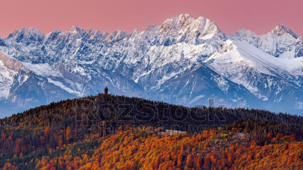 Hayvanlar ve yaban hayatı