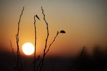 Hevsel Bahçeleri'nde günbatımı sırasında ufukta alçalan güneş ve ön planda siluet oluşturan kuru dallar.