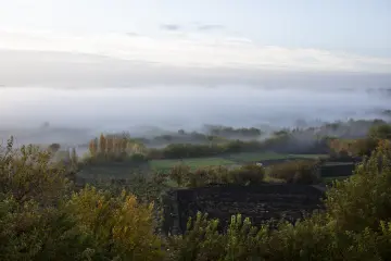 Diyarbakır Hevsel Bahçeleri'nde sisle örtülen tarım alanları ve sonbahar renklerindeki ağaçların doğal manzarası.