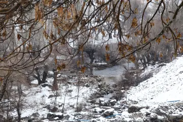 Karlarla kaplı ormanlık alanda akan dere ve kış doğasının sakin manzarası.
