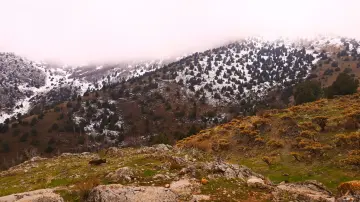 Yüksek rakımlı dağlık arazide karla kaplanan yamaçlar, seyrek iğne yapraklı ağaçlar ve kayalık alanlar görülüyor. Sisli hava, kahverengi bitki örtüsü ve beyaz kar örtüsü doğal kış manzarasına sakin ve etkileyici bir görünüm kazandırıyor.