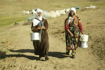 Hakkari ile Şırnak illeri arasında bulunan Kato Marinos Yaylasına İlkbahar'ın gelişiyle yaylalara göç eden göçerler, Sonbahar'ın Ekim ayına kadar küçükbaş yetiştiriciliği yapıyor. koyun sağmak amacıyla her gün koyun güden çobanların izini süren berivanlar, yayla yollarına düşüyor.
