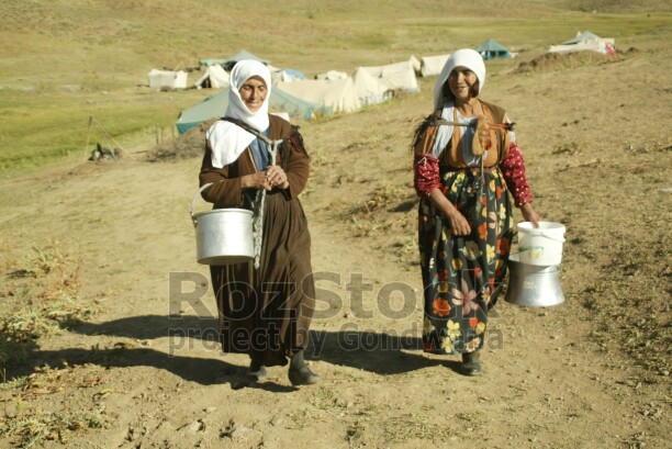 Hakkari ile Şırnak illeri arasında bulunan Kato Marinos Yaylasına İlkbahar'ın gelişiyle yaylalara göç eden göçerler, Sonbahar'ın Ekim ayına kadar küçükbaş yetiştiriciliği yapıyor. koyun sağmak amacıyla her gün koyun güden çobanların izini süren berivanlar, yayla yollarına düşüyor.
