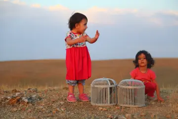 Mezopotamya’da keklik beslemek yalnızca bir kuş yetiştiriciliği değil; derin sosyal, sanatsal ve tarihsel anlamlar taşıyan köklü bir kültürel hobidir. Özellikle Batman, Urfa, Adıyaman ve Diyarbakır gibi şehirlerde kuşaklar arası aktarılan bir tutku olarak varlığını günümüze kadar sürdürmektedir.
