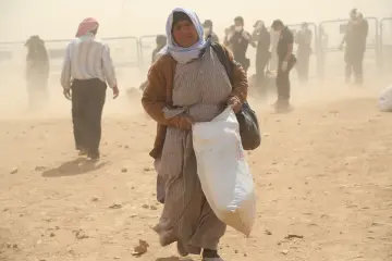 İŞİD saldırısından kaçan Kobani’liler, Suruç’a geçmek için mayınlı bölgeden sınırın karşı tarafına geçiyor. Gözleri kör eden kum  fırtınası  da bebekler ve çocuklar için de zorlu bir göç yolculuğa dönüşüyor.
