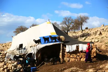 Yılın belirli aylarında yaylalarda geçiren Koçerler, kış mevsiminde de sıcak bölgelere göç ediyor. Küçük baş yetiştiriciliği ile geçimini sağlayan Batman’lı Koçerler, erkekler çobanlık görevi üstlenirken, kadınlar da yalaklara yem taşıyor.