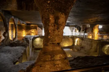 Alt text ve SEO testi.