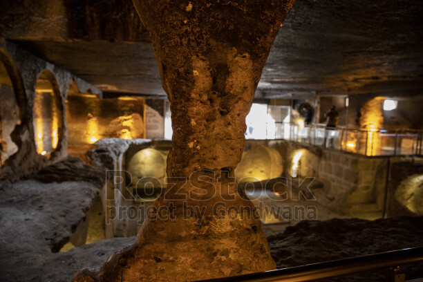 Alt text ve SEO testi.