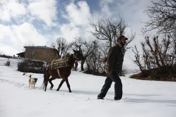 Dersim’in Mazgirt ilçesinde köklü bir geçmişe dayanan,  bulunduğu coğrafyasının çetin kış şartlarına uyum sağlamış geleneksel mimariye sahiptir. Bölgenin sarp dağlık yapısı ve iklimi, evlerin hem malzeme seçimini hem de plan şemalarını doğrudan şekillendiriyor.
