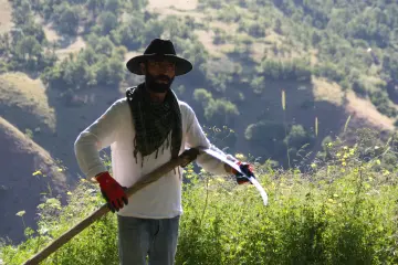 Dersim'in Munzur dağları eteklerinde bulunan yerleşim alanlarında yaşayan köylülerde kış telaşı başladı. yılın 6 ayı karla geçen Ovacık ilçesinde kış mevsiminde hayvanları için stokladıkları yoncayı toplamaya başladı.