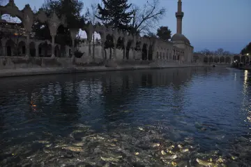 Şanlıurfa Balıklıgöl'de Rızvaniye Camii ve Medresesi'nin suya yansıyan tarihi mimarisi.