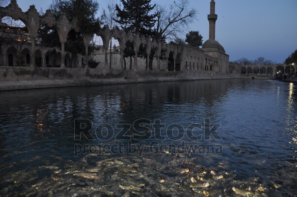Şanlıurfa Balıklıgöl'de Rızvaniye Camii ve Medresesi'nin suya yansıyan tarihi mimarisi.