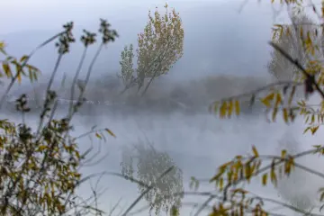 Sisler içinde Dicle Nehri, sonbahar ağaçları ve suya yansıyan doğal manzara