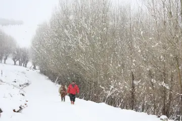 Volkanik Karacadağ bölgesinde göçebe veya yarı göçebe (Koçer) kültürünü sürdüren kadınların yoğun emek, doğayla mücadele ve fedakarlık ile yayla kültürü sürdürülüyor. Giyim kuşamlarını nesilden nesile aktaran Karacadağ’lı kadınlar, yayla yaşamının öncülüğünü de üstleniyor.